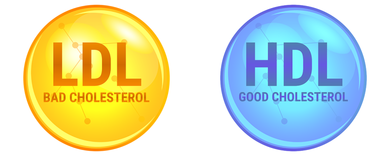 Ldl Vs Hdl Cholesterol Is All Cholesterol Bad Truebasics Blog