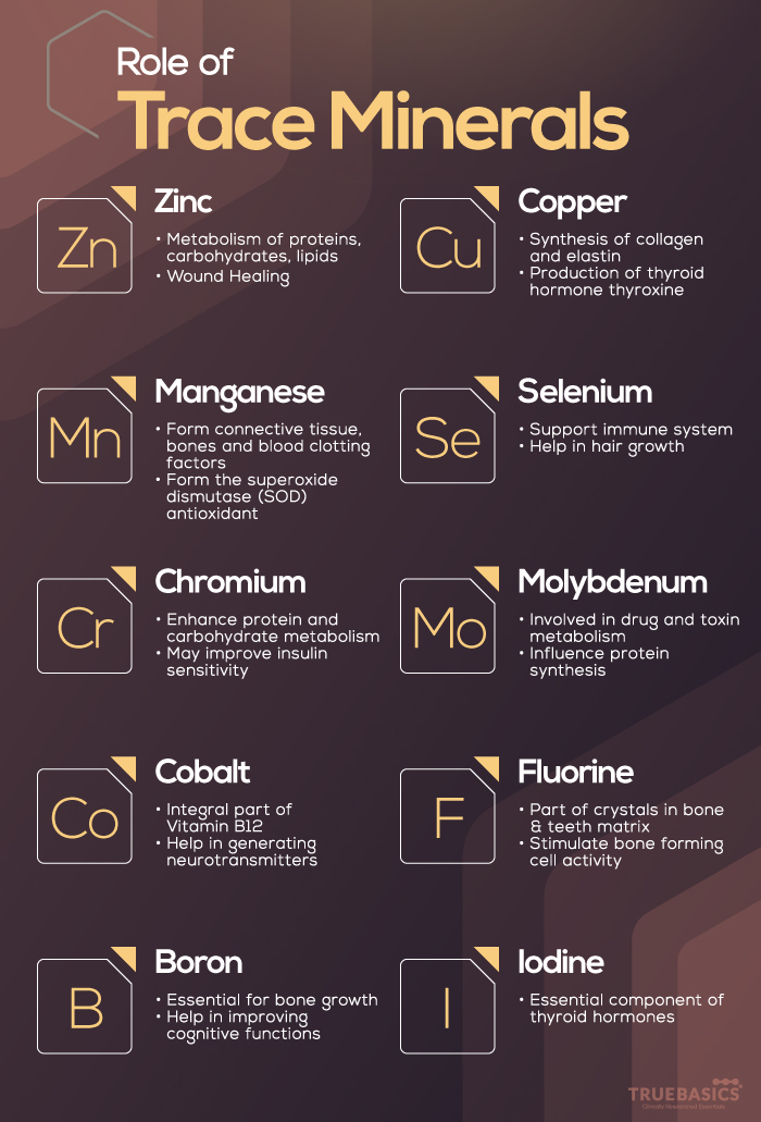 What Are Trace Minerals Found In at Marie Rodriguez blog