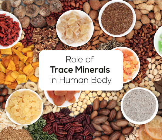 Role Of Trace Minerals In Human Body Truebasics Blog