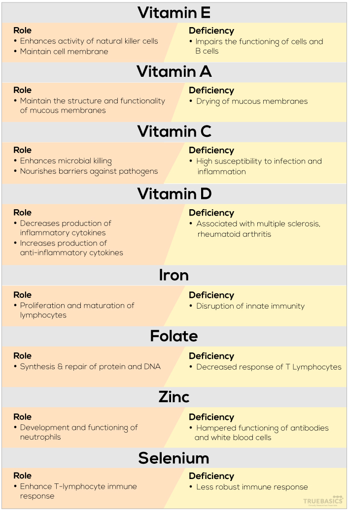 Key Vitamins & Minerals to Improve the Immunity - Truebasics Blog
