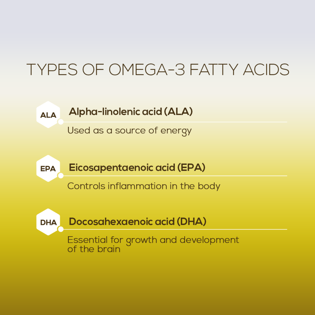 Omega-3 Fatty Acids & the Important Role They Play