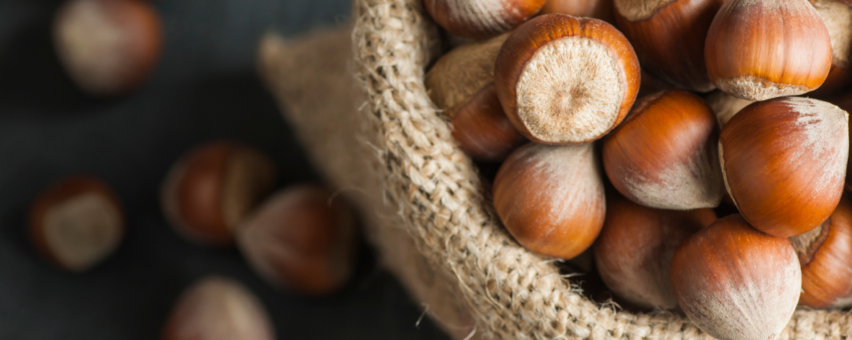 Are hazelnuts store good for you