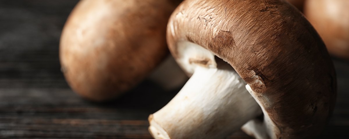 Mushroom Benefits for Skin You Should Know Truebasics Blog